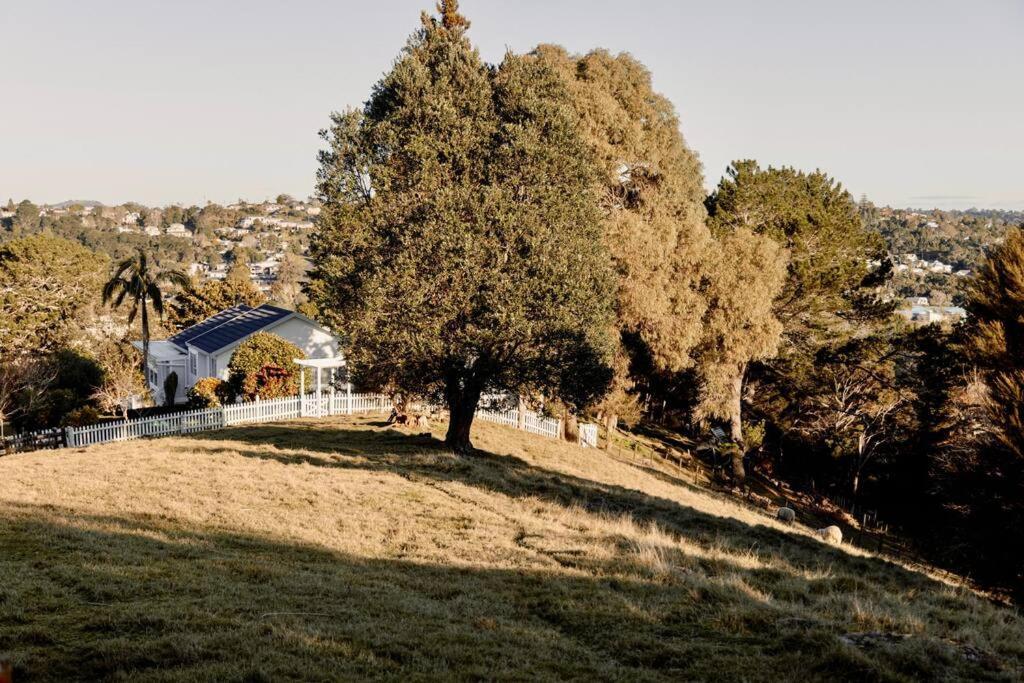 Modern Lifestyle Retreat With Stunning City View Auckland Bagian luar foto